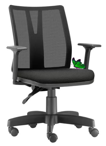 Cadeira_Diretor_Tela_1