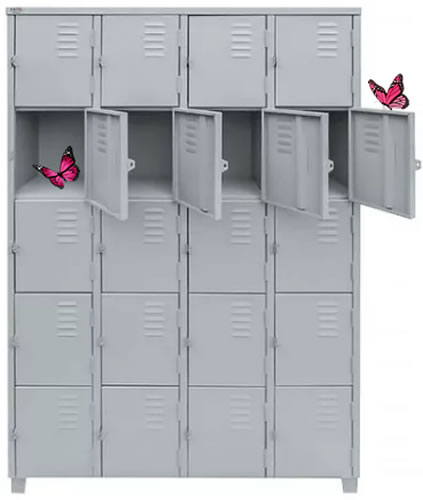 imagem_2025-11-27_113009393