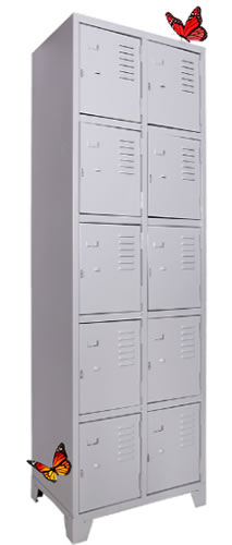 imagem_2025-11-27_113254588